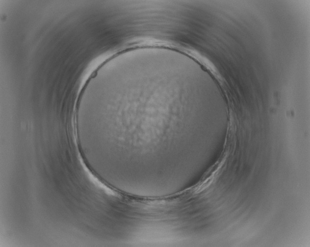 X0000075811247200610151422