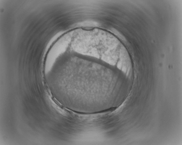 X0000075811248200610151422