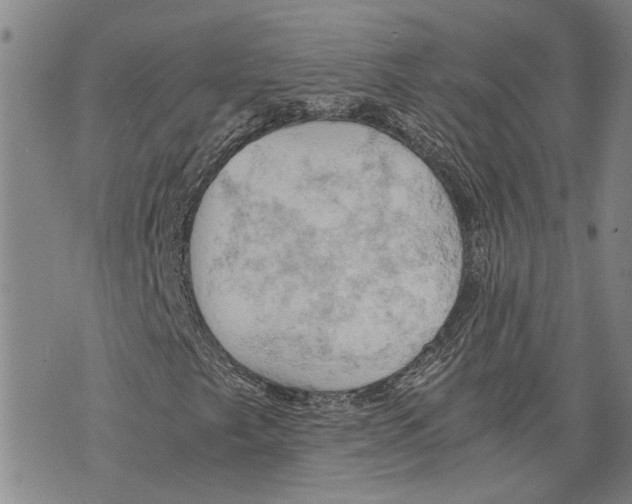 X0000075811249200610151421