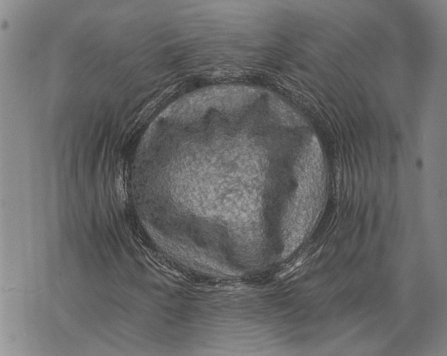 X0000075811250200610151421