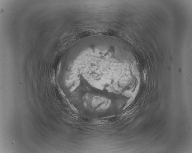 X0000075811251200610151421