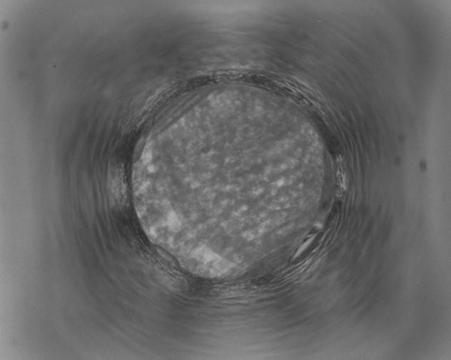 X0000075811252200610151421