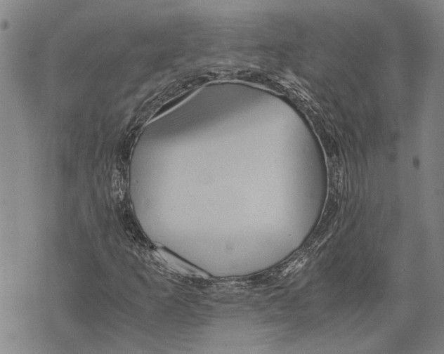 X0000075811253200610151421