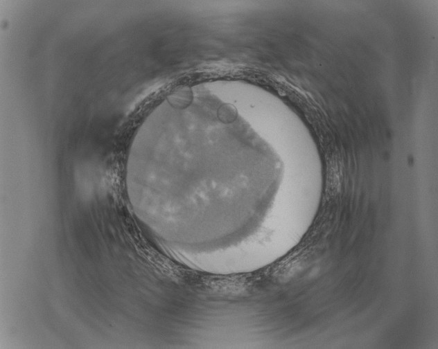 X0000075811254200610151421