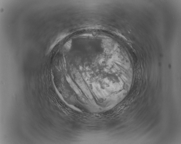 X0000075811255200610151421