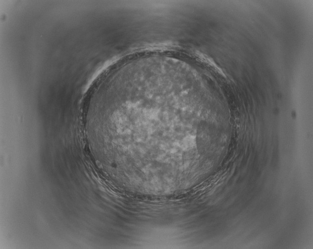 X0000075811256200610151421