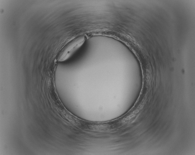 X0000075811257200610151421