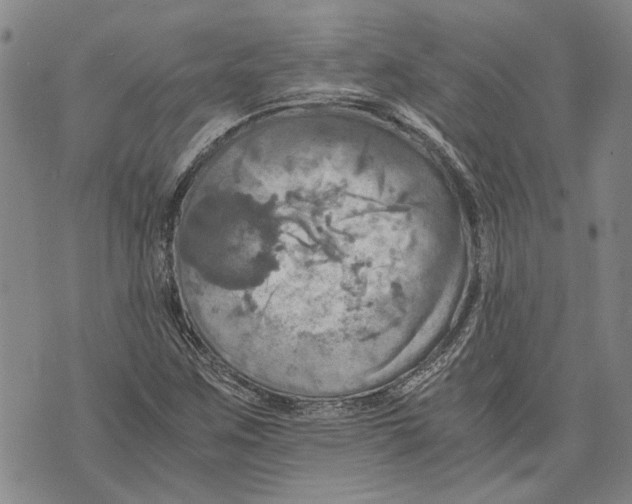 X0000075811259200610151421