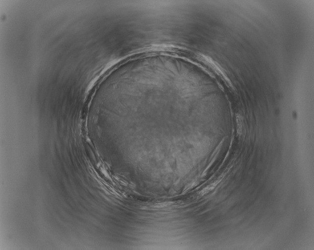 X0000075811260200610151421