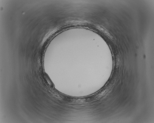 X0000075811261200610151421