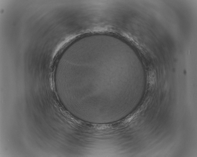 X0000075811262200610151421