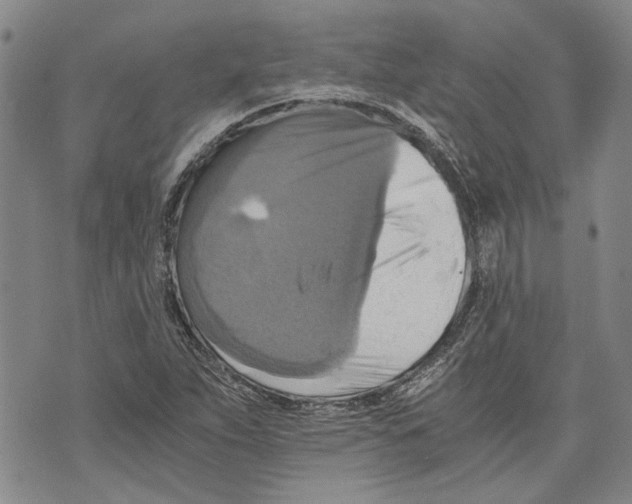 X0000075811263200610151421