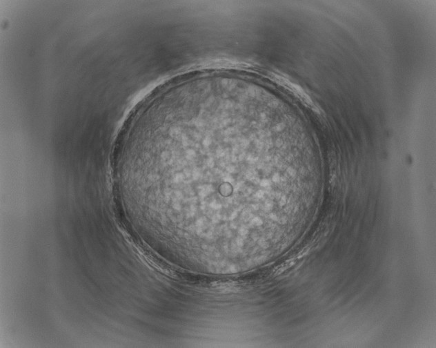 X0000075811264200610151421