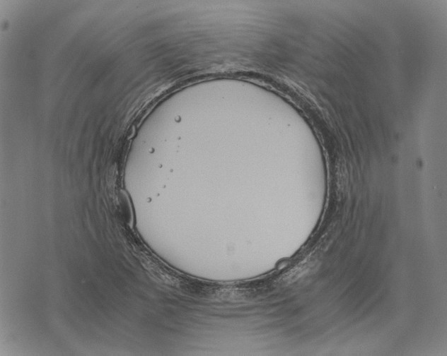 X0000075811265200610151421