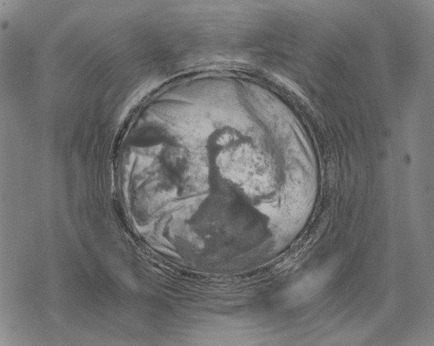 X0000075811267200610151421