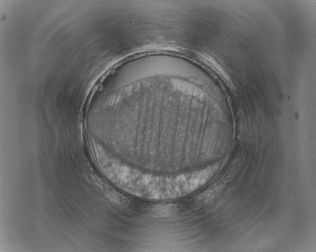 X0000075811268200610151421