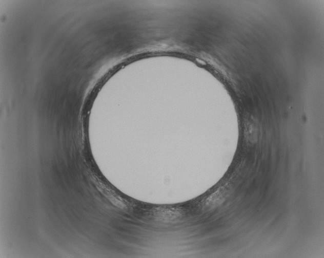 X0000075811270200610151421