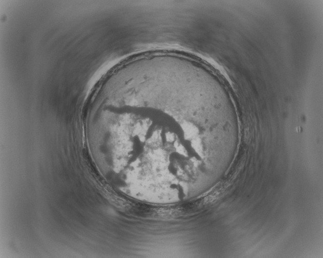 X0000075811271200610151421