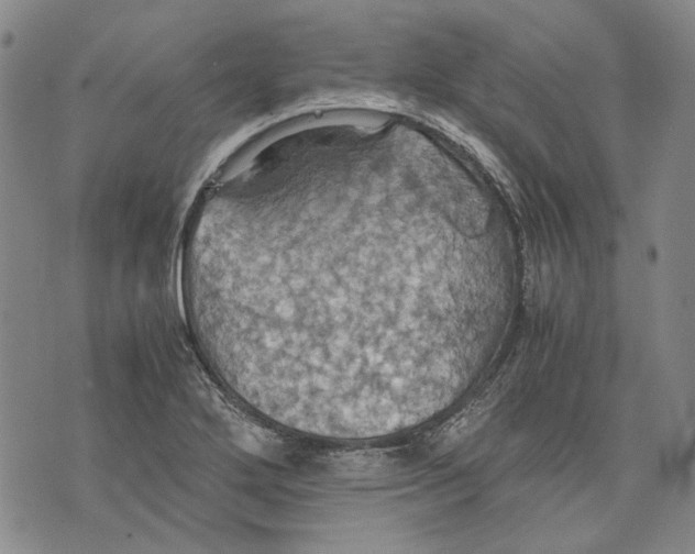 X0000075811272200610151421