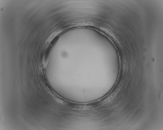 X0000075811273200610151421