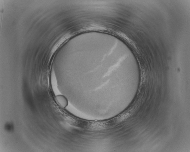 X0000075811274200610151421