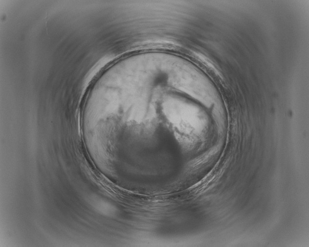 X0000075811275200610151421