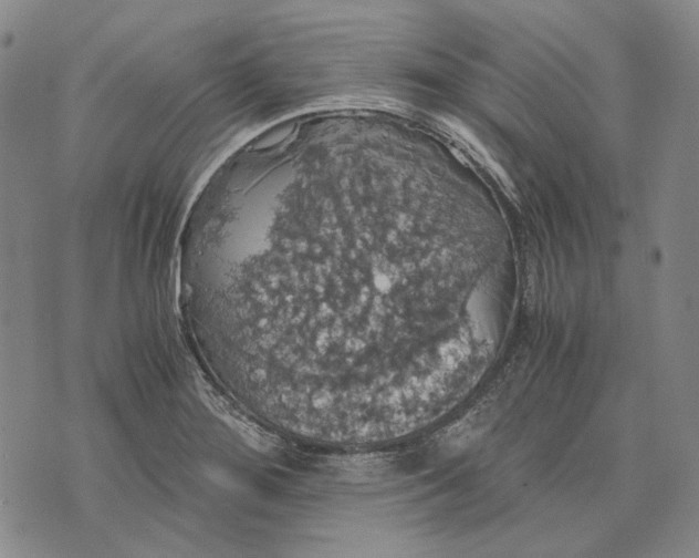 X0000075811276200610151421