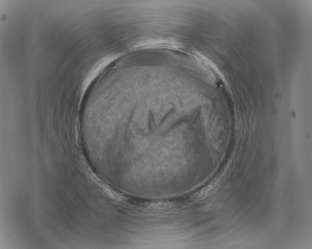 X0000075811277200610151421