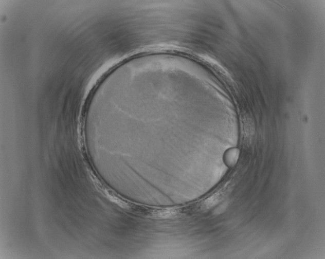 X0000075811278200610151421