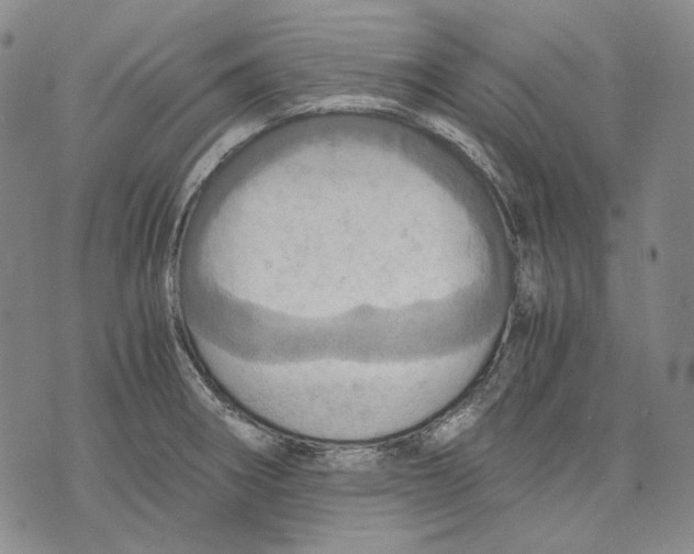 X0000075811282200610151420