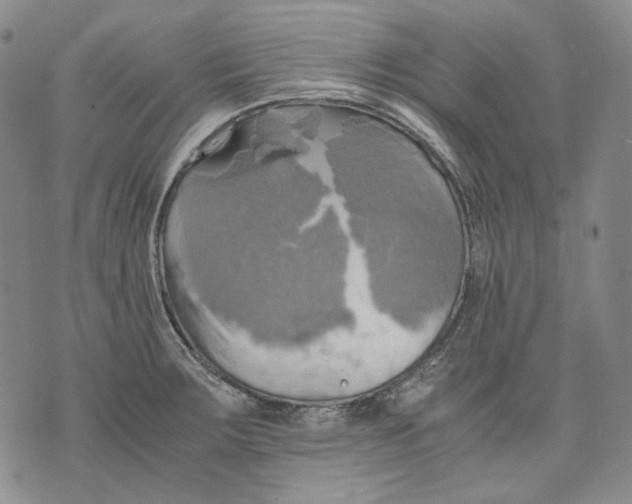 X0000075811283200610151420