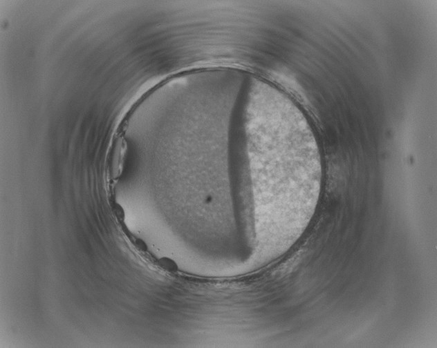 X0000075811284200610151420