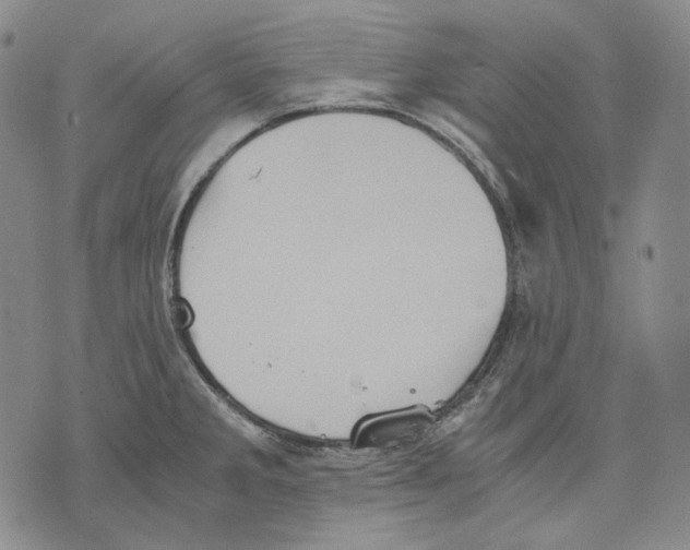 X0000075811285200610151420