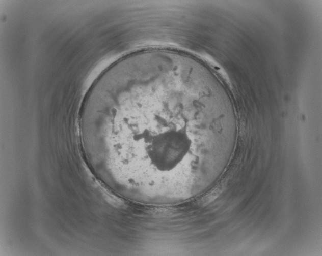 X0000075811287200610151420