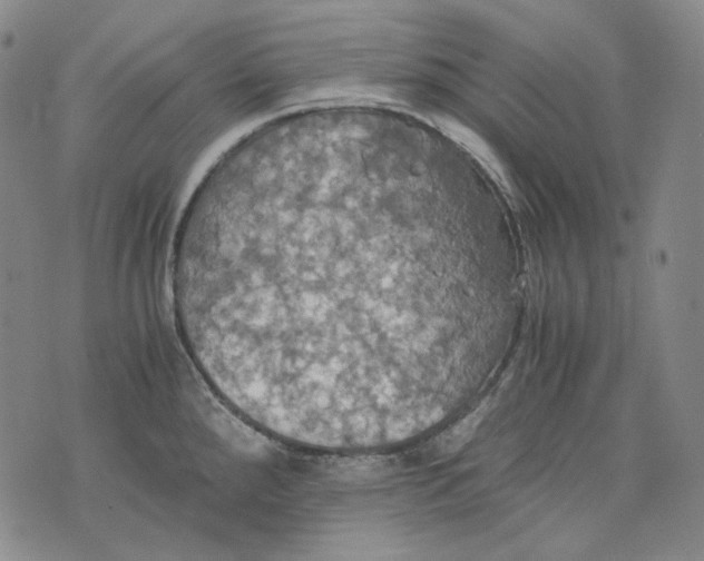 X0000075811288200610151420