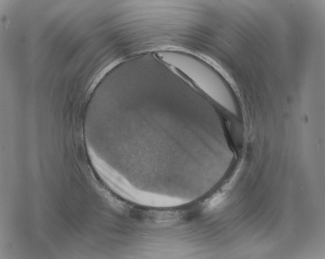 X0000075811289200610151420