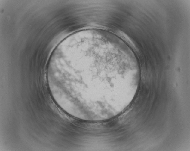 X0000075811292200610151420