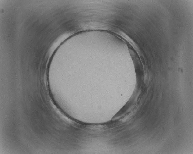 X0000075811293200610151420