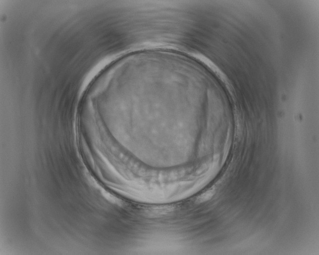 X0000075811294200610151420