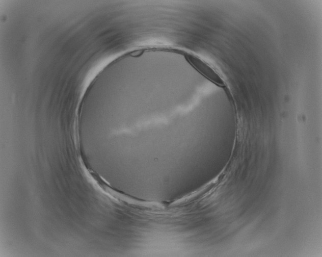 X0000075811295200610151420