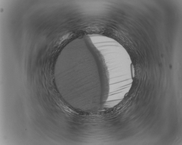 X0000075811297200610151419