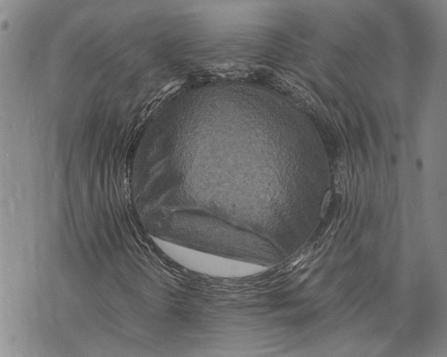 X0000075811298200610151419