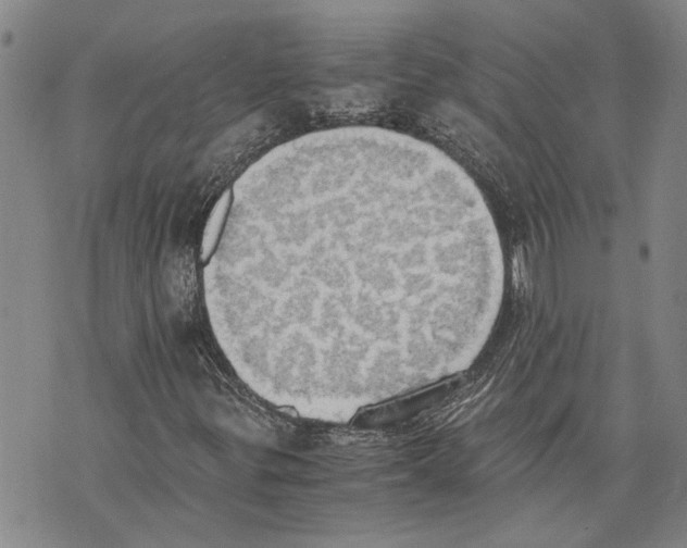 X0000075811299200610151420