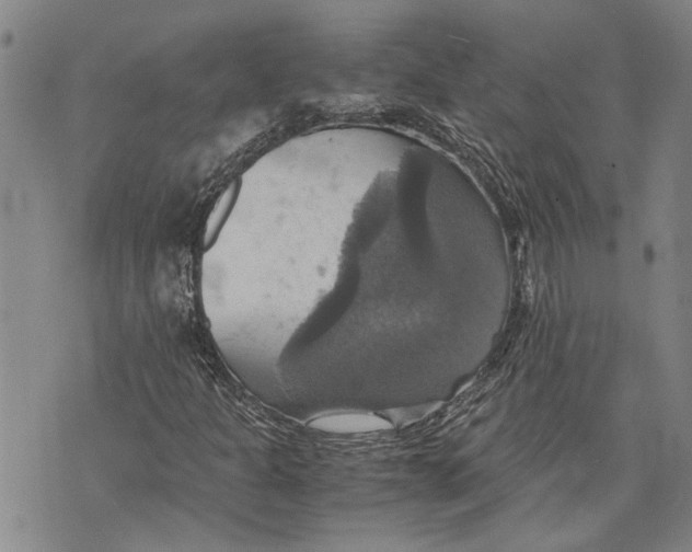 X0000075811301200610151420