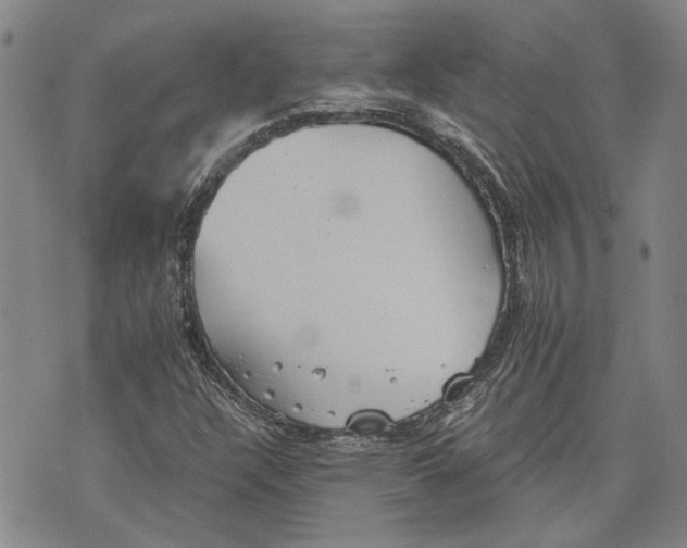 X0000075811304200610151420