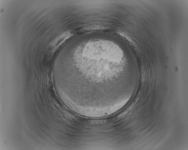 X0000075811305200610151420