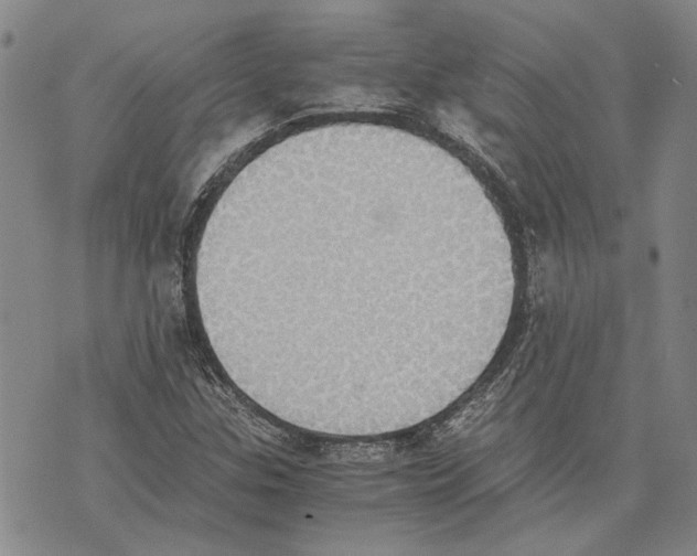 X0000075811307200610151420