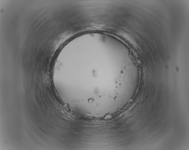 X0000075811308200610151420