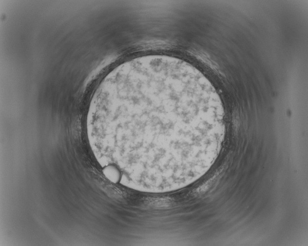 X0000075811309200610151420