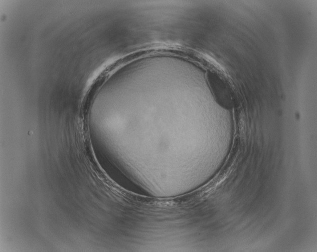 X0000075811310200610151420